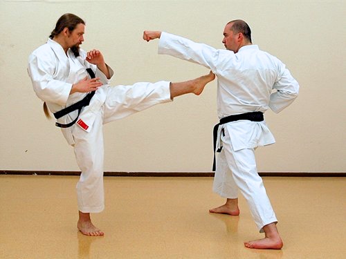 Zwei Karate Kampfkünstler beim Kumite Trainng. Einer greift mit einem Fauststoß an, der andere kontert kontaktlos mit einem Fußtritt.