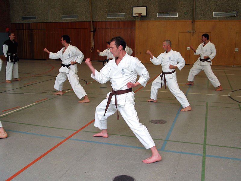 Karatekampfkünstler beim Fauststoßtraining